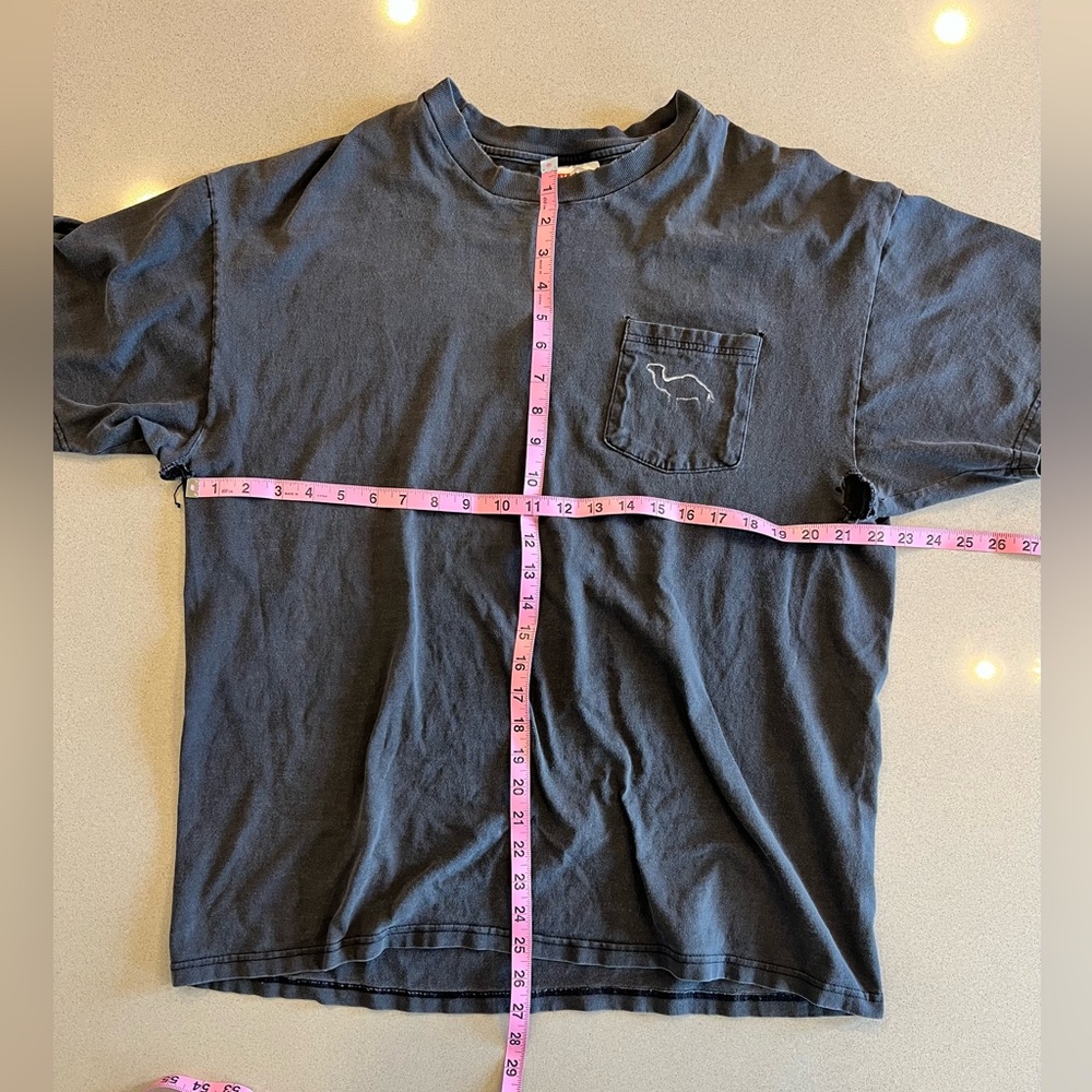 Vintage Thrashed Y2K Hanes XL Camel Graphic Tee – Desert Sun Logo Pocket Shirt - Picture 4 of 12